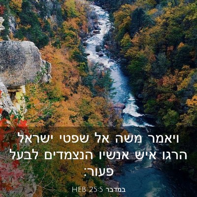 Picture 03 - במדבר 25:5 HEB - ויאמר משה אל שפטי ישראל - Bible Verse Picture