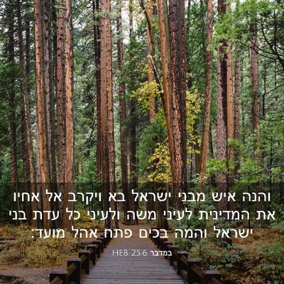Picture 03 - במדבר 25:6 HEB - והנה איש מבני ישראל בא - Bible Verse Picture