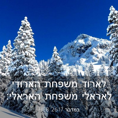 Picture 03 - במדבר 26:17 HEB - לארוד משפחת הארודי לאראלי - Bible Verse Picture