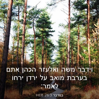 Picture 03 - במדבר 26:3 HEB - וידבר משה ואלעזר הכהן אתם - Bible Verse Picture
