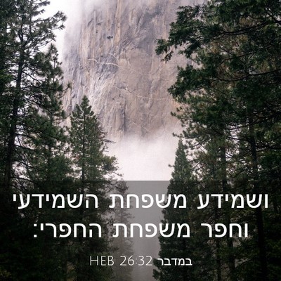 Picture 03 - במדבר 26:32 HEB - ושמידע משפחת השמידעי וחפר - Bible Verse Picture
