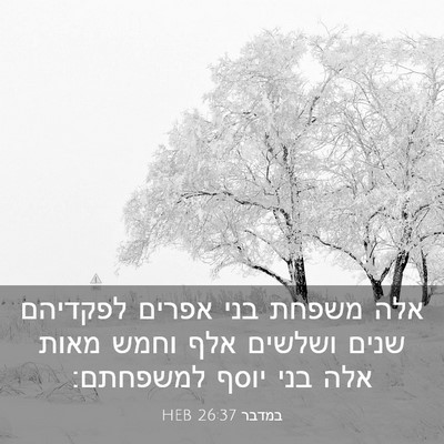 Picture 03 - במדבר 26:37 HEB - אלה משפחת בני אפרים - Bible Verse Picture
