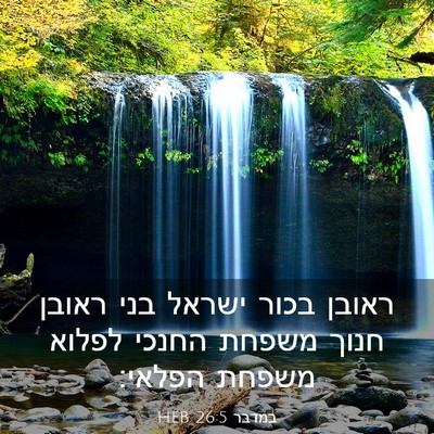Picture 03 - במדבר 26:5 HEB - ראובן בכור ישראל בני ראובן - Bible Verse Picture