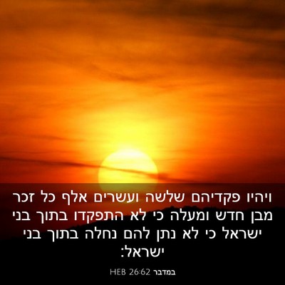 Picture 03 - במדבר 26:62 HEB - ויהיו פקדיהם שלשה ועשרים - Bible Verse Picture