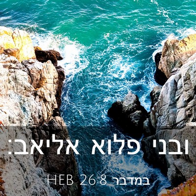 Picture 03 - במדבר 26:8 HEB - ובני פלוא - Bible Verse Picture