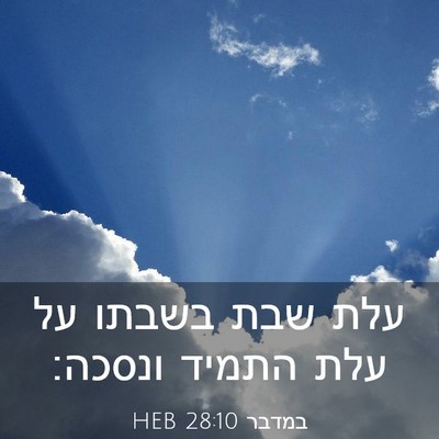 Picture 03 - במדבר 28:10 HEB - עלת שבת בשבתו על עלת התמיד - Bible Verse Picture