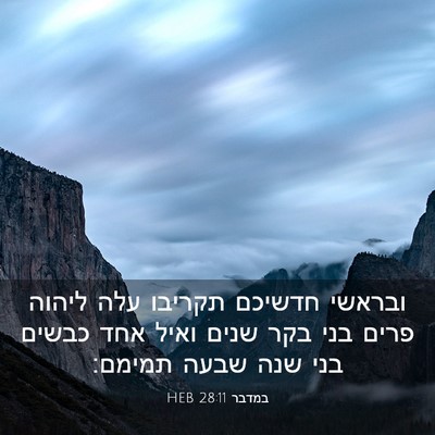 Picture 03 - במדבר 28:11 HEB - ובראשי חדשיכם תקריבו עלה - Bible Verse Picture