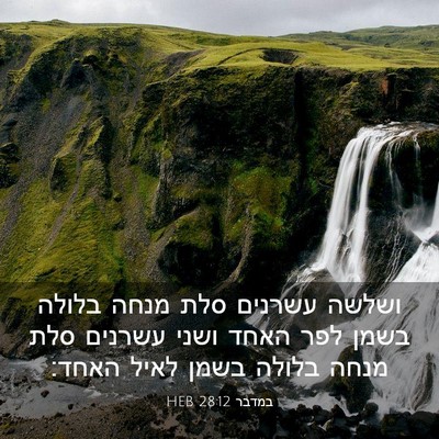 Picture 03 - במדבר 28:12 HEB - ושלשה עשרנים סלת מנחה - Bible Verse Picture