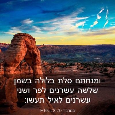 Picture 03 - במדבר 28:20 HEB - ומנחתם סלת בלולה בשמן שלשה - Bible Verse Picture