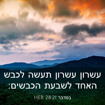 Picture 03 - במדבר 28:21 HEB - עשרון עשרון תעשה לכבש האחד - Bible Verse Picture