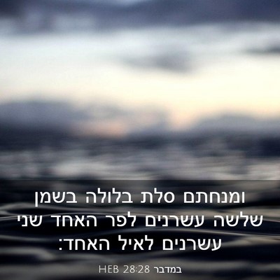 Picture 03 - במדבר 28:28 HEB - ומנחתם סלת בלולה בשמן שלשה - Bible Verse Picture