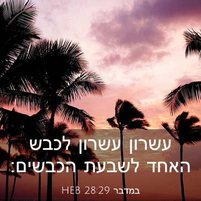Picture 03 - במדבר 28:29 HEB - עשרון עשרון לכבש האחד - Bible Verse Picture