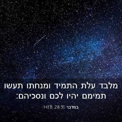 Picture 03 - במדבר 28:31 HEB - מלבד עלת התמיד ומנחתו תעשו - Bible Verse Picture