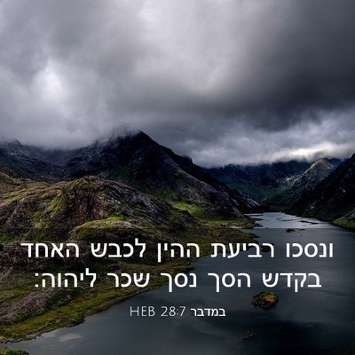 Picture 03 - במדבר 28:7 HEB - ונסכו רביעת ההין לכבש האחד - Bible Verse Picture