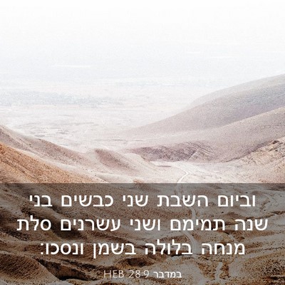 Picture 03 - במדבר 28:9 HEB - וביום השבת שני כבשים בני - Bible Verse Picture