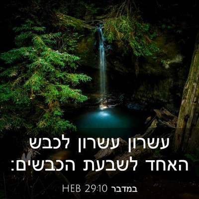 Picture 03 - במדבר 29:10 HEB - עשרון עשרון לכבש האחד - Bible Verse Picture