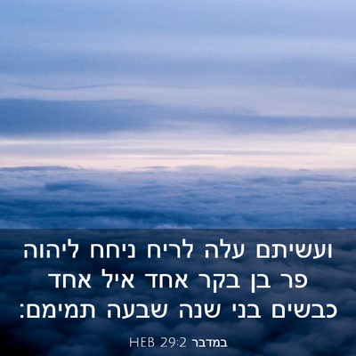 Picture 03 - במדבר 29:2 HEB - ועשיתם עלה לריח ניחח ליהוה - Bible Verse Picture