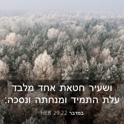 Picture 03 - במדבר 29:22 HEB - ושעיר חטאת אחד מלבד עלת - Bible Verse Picture