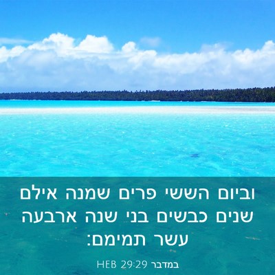Picture 03 - במדבר 29:29 HEB - וביום הששי פרים שמנה אילם - Bible Verse Picture