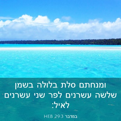 Picture 03 - במדבר 29:3 HEB - ומנחתם סלת בלולה בשמן שלשה - Bible Verse Picture