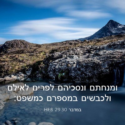 Picture 03 - במדבר 29:30 HEB - ומנחתם ונסכיהם לפרים לאילם - Bible Verse Picture