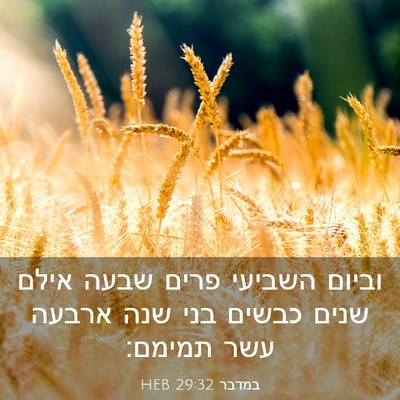 Picture 03 - במדבר 29:32 HEB - וביום השביעי פרים שבעה - Bible Verse Picture