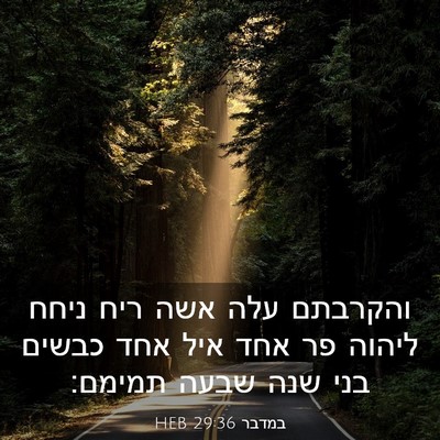 Picture 03 - במדבר 29:36 HEB - והקרבתם עלה אשה ריח ניחח - Bible Verse Picture