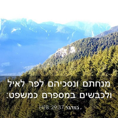 Picture 03 - במדבר 29:37 HEB - מנחתם ונסכיהם לפר לאיל - Bible Verse Picture