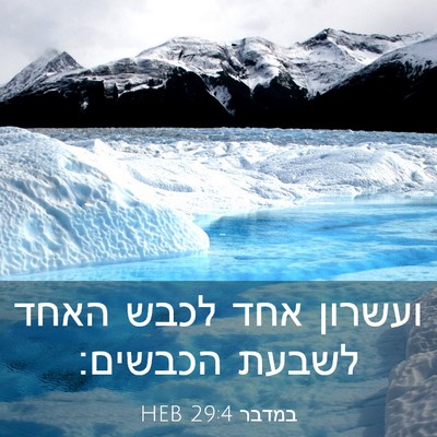 Picture 03 - במדבר 29:4 HEB - ועשרון אחד לכבש האחד לשבעת - Bible Verse Picture