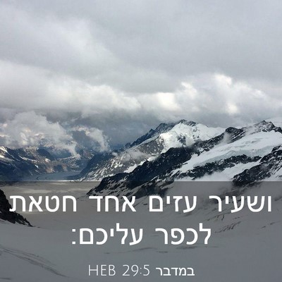 Picture 03 - במדבר 29:5 HEB - ושעיר עזים אחד חטאת לכפר - Bible Verse Picture