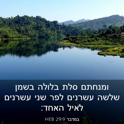 Picture 03 - במדבר 29:9 HEB - ומנחתם סלת בלולה בשמן שלשה - Bible Verse Picture