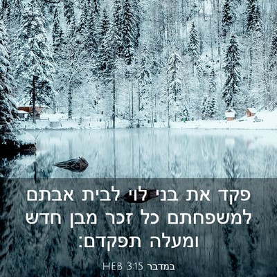 Picture 03 - במדבר 3:15 HEB - פקד את בני לוי לבית אבתם - Bible Verse Picture