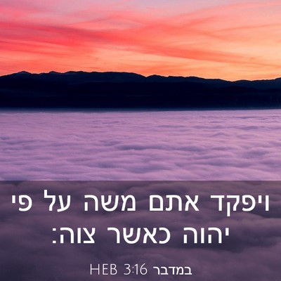 Picture 03 - במדבר 3:16 HEB - ויפקד אתם משה על פי יהוה - Bible Verse Picture