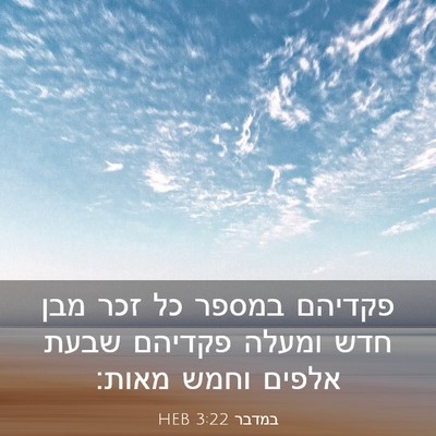 Picture 03 - במדבר 3:22 HEB - פקדיהם במספר כל זכר מבן חדש - Bible Verse Picture
