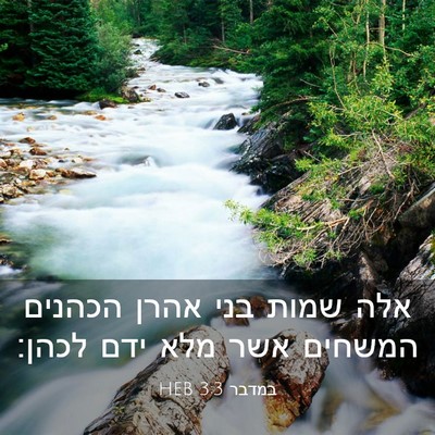 Picture 03 - במדבר 3:3 HEB - אלה שמות בני אהרן הכהנים - Bible Verse Picture
