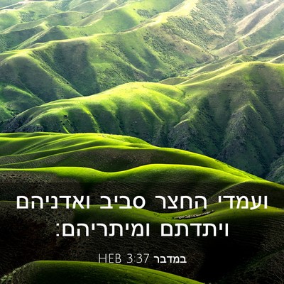 Picture 03 - במדבר 3:37 HEB - ועמדי החצר סביב ואדניהם - Bible Verse Picture