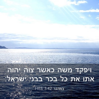 Picture 03 - במדבר 3:42 HEB - ויפקד משה כאשר צוה יהוה אתו - Bible Verse Picture