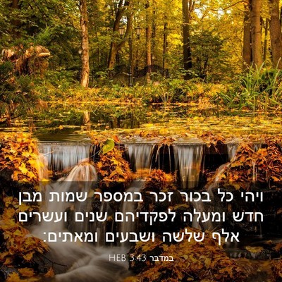 Picture 03 - במדבר 3:43 HEB - ויהי כל בכור זכר במספר שמות - Bible Verse Picture