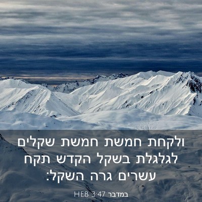 Picture 03 - במדבר 3:47 HEB - ולקחת חמשת חמשת שקלים - Bible Verse Picture