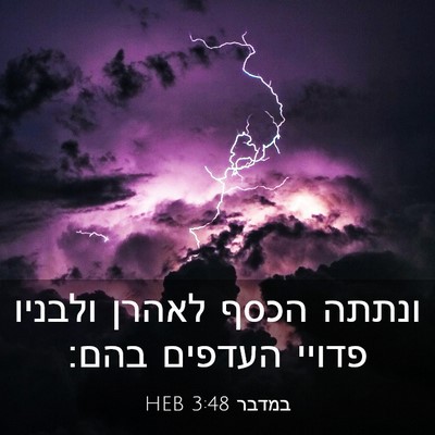 Picture 03 - במדבר 3:48 HEB - ונתתה הכסף לאהרן ולבניו - Bible Verse Picture