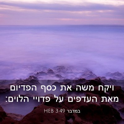 Picture 03 - במדבר 3:49 HEB - ויקח משה את כסף הפדיום מאת - Bible Verse Picture