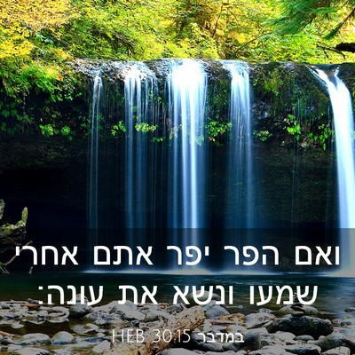 Picture 03 - במדבר 30:15 HEB - ואם הפר יפר אתם אחרי שמעו - Bible Verse Picture