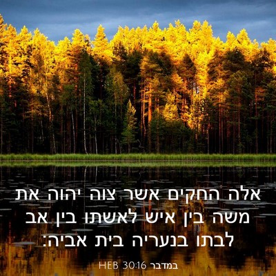 Picture 03 - במדבר 30:16 HEB - אלה החקים אשר צוה יהוה את - Bible Verse Picture