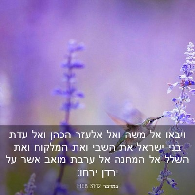 Picture 03 - במדבר 31:12 HEB - ויבאו אל משה ואל אלעזר הכהן - Bible Verse Picture
