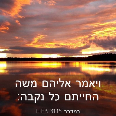 Picture 03 - במדבר 31:15 HEB - ויאמר אליהם משה החייתם כל - Bible Verse Picture