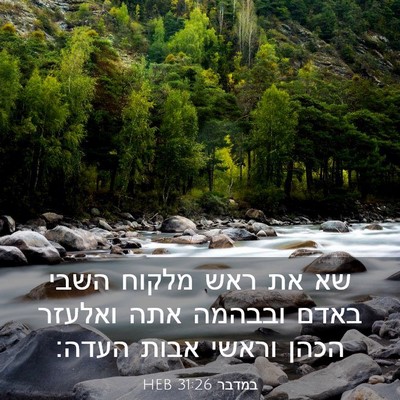 Picture 03 - במדבר 31:26 HEB - שא את ראש מלקוח השבי באדם - Bible Verse Picture