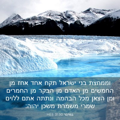 Picture 03 - במדבר 31:30 HEB - וממחצת בני ישראל תקח אחד - Bible Verse Picture
