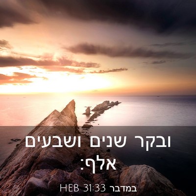 Picture 03 - במדבר 31:33 HEB - ובקר שנים ושבעים - Bible Verse Picture