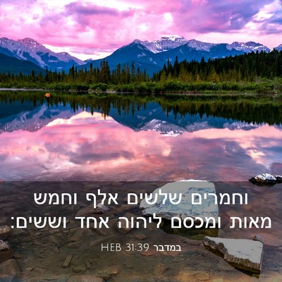 Picture 03 - במדבר 31:39 HEB - וחמרים שלשים אלף וחמש מאות - Bible Verse Picture