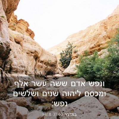 Picture 03 - במדבר 31:40 HEB - ונפש אדם ששה עשר אלף ומכסם - Bible Verse Picture